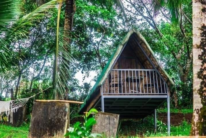 Camp Mayagay Tanay Rizal Sampalok Ngoại thất bức ảnh