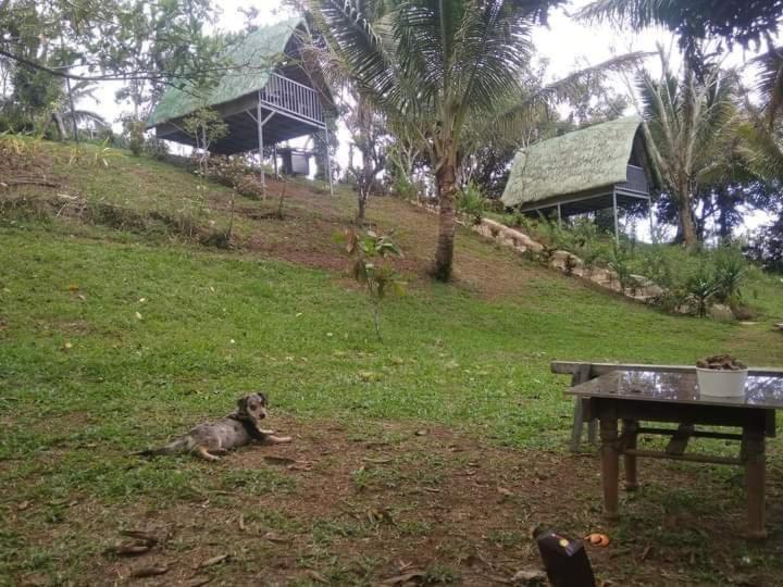 Camp Mayagay Tanay Rizal Sampalok Ngoại thất bức ảnh